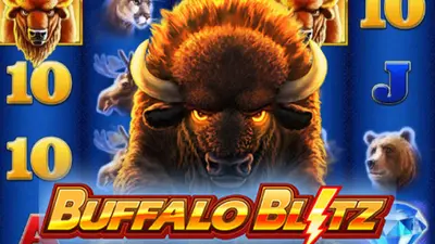 buffalo blitz